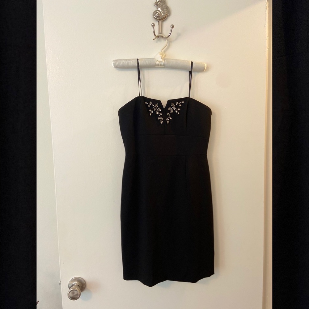 BCBG cocktail dress (strapless)